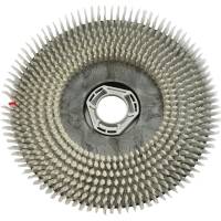 B&oslash;rste, Diversey TASKI, XP-R, til h&aring;rde gulve *Denne vare tages ikke retur*