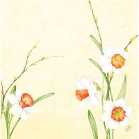 Middagsserviet, Dunisoft, Daffodil Joy, 1/4 fold, 40x40cm, hvid *Denne vare tages ikke retur*