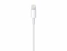 Datakabel Apple Lightning/USB 0,5M