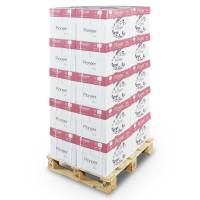 Kopipapir Pioneer 100g A3 500ark/pak