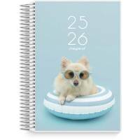 Dagkalender Studie Stor 2i1 m/klap 2025/2026