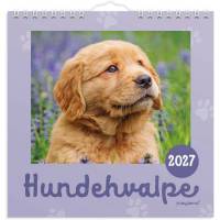 V&aelig;gkalender mini Hundehvalpe 2027