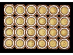 Muffinform p&Atilde;&yen; papplade NTS.2 50x36mm 24st/pl 50pl/pak