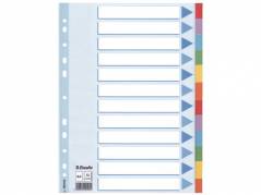Faneblad karton Esselte A4 12-delt farvet