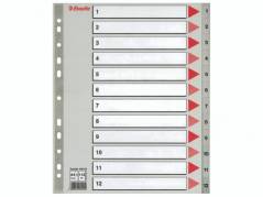 Register Esselte A4 Maxi 1-12 m/forblad plast gr&aring;