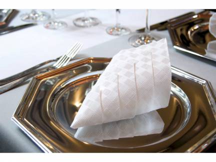 Servietter Elegance hvid 40x40cm 40stk/pak