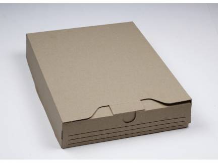 Arkiv&aelig;ske Master'In A4 brun 320x245x58mm