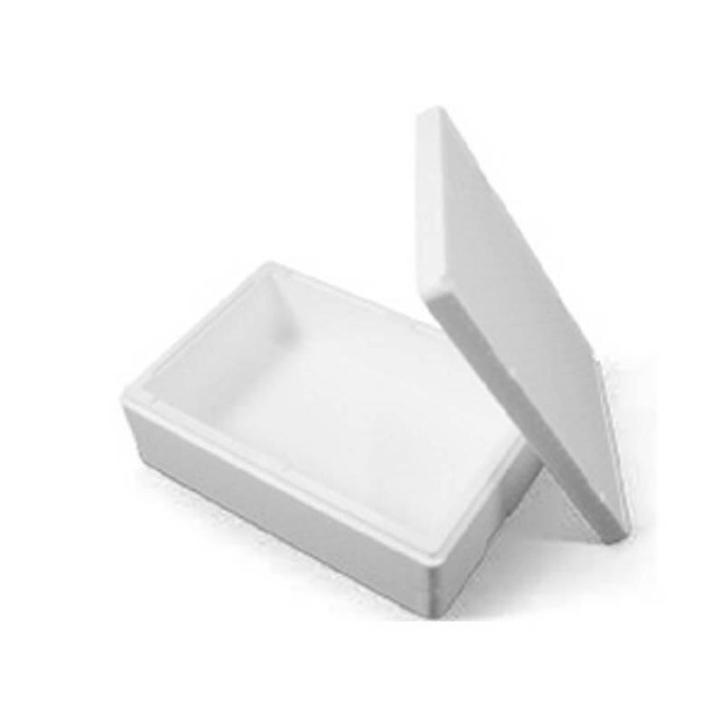 Termoskumkasse Coolsafe 4 Maxi hvid 595x398x191mm incl.l&aring;g