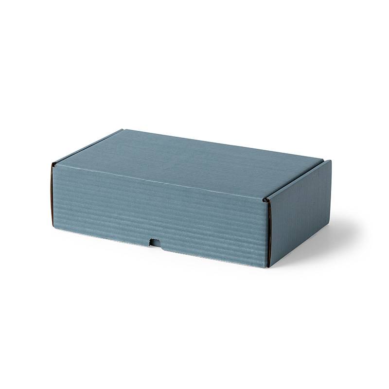 Farvet post&aelig;ske bl&aring; 290x175x85mm Master'in Access 1-lags B-flute