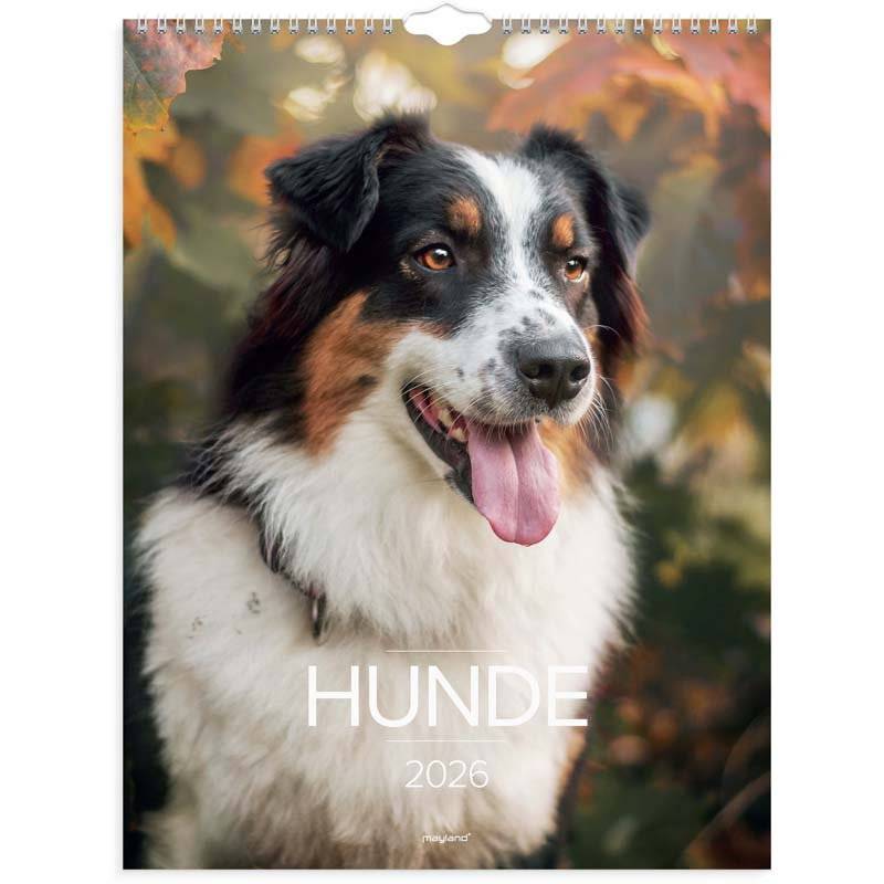 Kalender, Mayland, Hund &aring;r: 2026, assorteret,, FSC Mix Credit