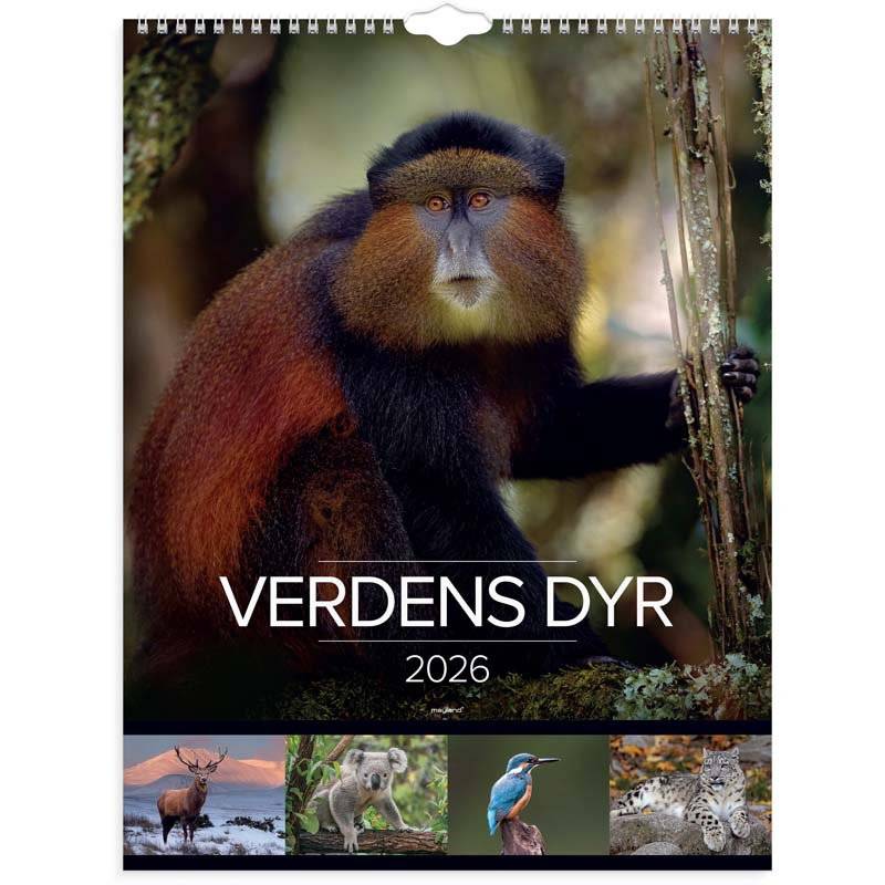 Kalender, Mayland &aring;r: 2026, assorteret,, FSC Mix Credit