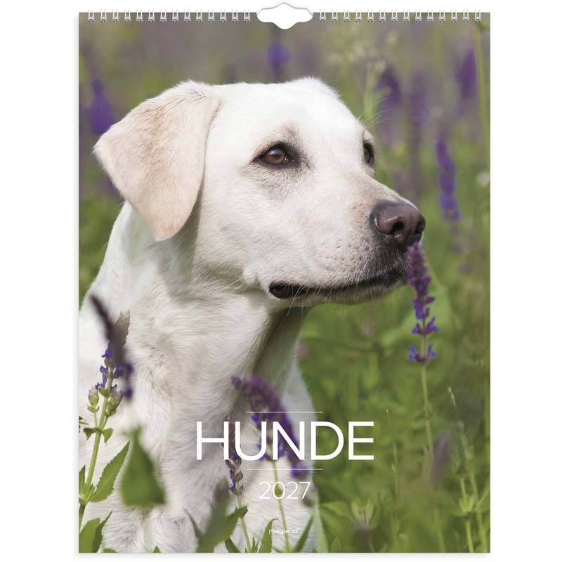 V&aelig;gkalender, Mayland Photo, Hund, 295 x394mm &aring;r: 2027, Flerfarvet,