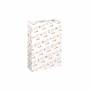 losqxl_mi2_003r91639_xerox_colotech_silk_coated_a3_200_ream_standing_00_20210823