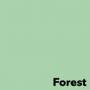 losqxl_mi2_eshop_image_coloraction__forest