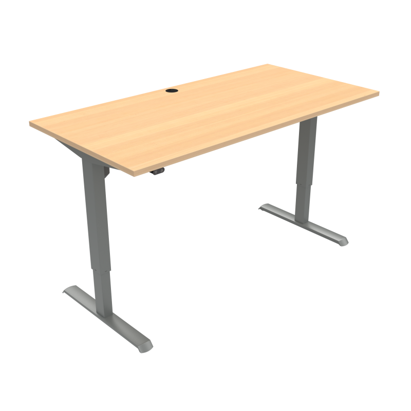 H&aelig;ve-/s&aelig;nkebord | 160x80 cm | B&oslash;g med s&oslash;lv stel