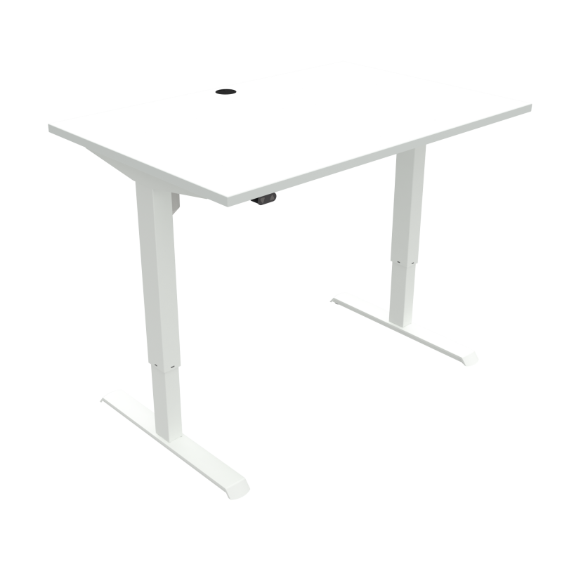 H&aelig;ve-/s&aelig;nkebord | 120x80 cm | Hvid med hvidt stel