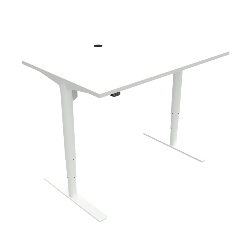 H&aelig;ve-/s&aelig;nkebord | 120x80 cm | Hvid med hvidt stel