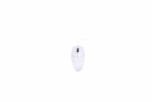Active Key Washable Mouse IP68 Scroll Wheel W White