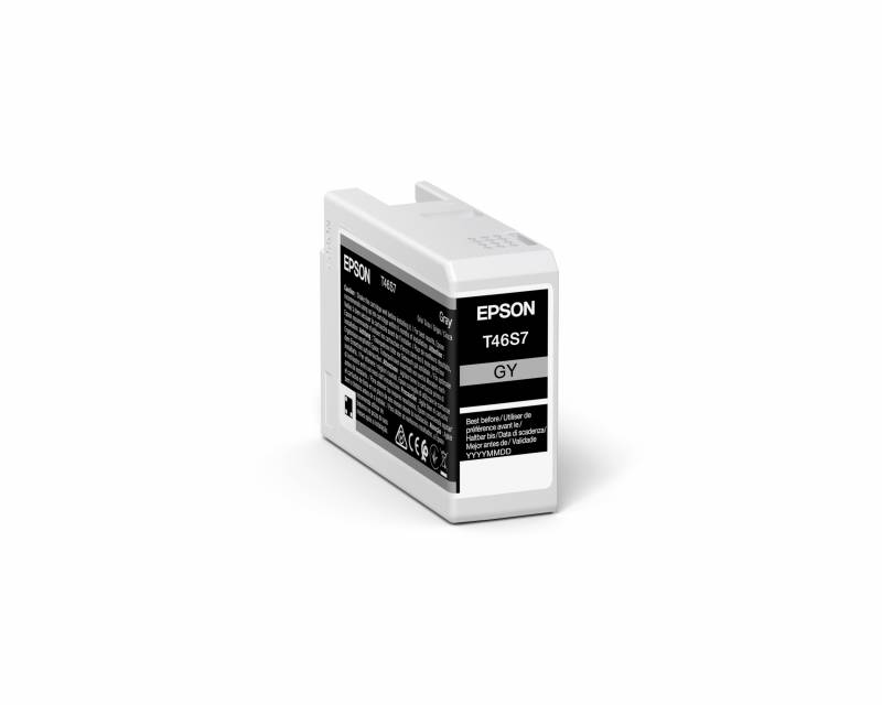 C13T46S700 Grey Ink Cartridge