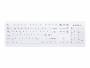CHEAKC8100FFU1WNOR_1