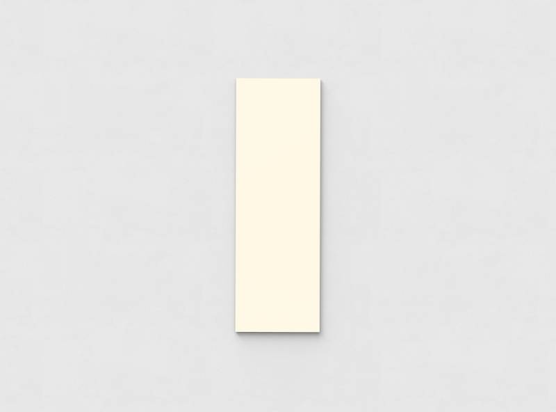 Mood Wall glastavle 500x1500 mm
