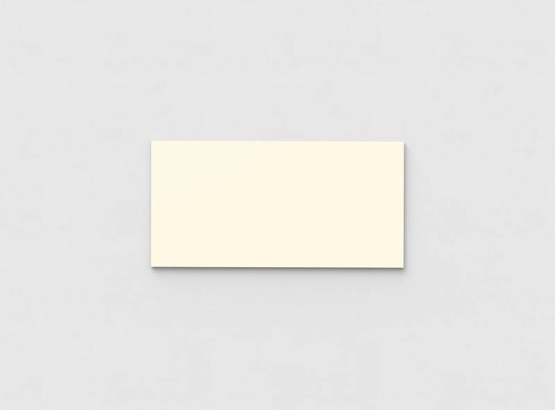 Mood Wall glastavle 1500x750 mm