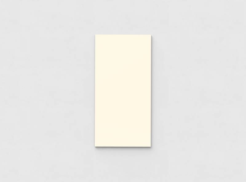 Mood Wall glastavle 750x1500 mm