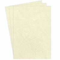 Kartonforside til indbinding Fellowes A4 250g ivory Delta leatherboard 100stk/pak